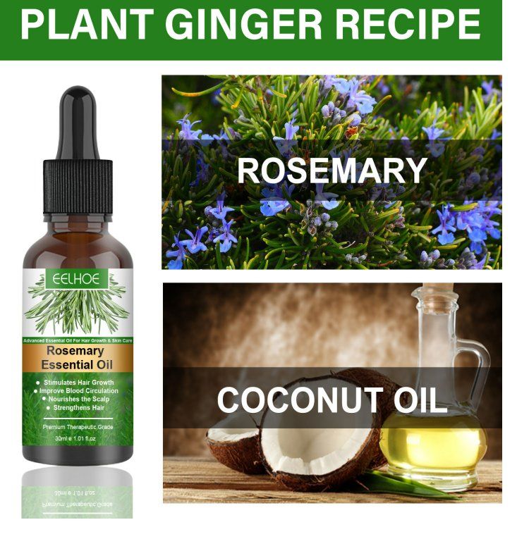 Rosemary Hair Care Essential Oil for Preventing Broken Hair and Hair Growth Essential Oil for Preventing Hair Loss and Nourishing Scalp Essential Oil