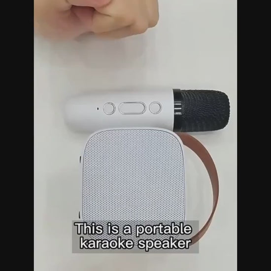 Mini Karaoke Machine With 2 Wireless Microphones Portable Speaker