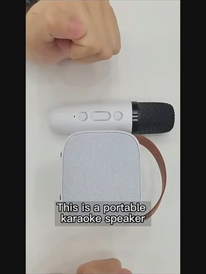 Mini Karaoke Machine With 2 Wireless Microphones Portable Speaker